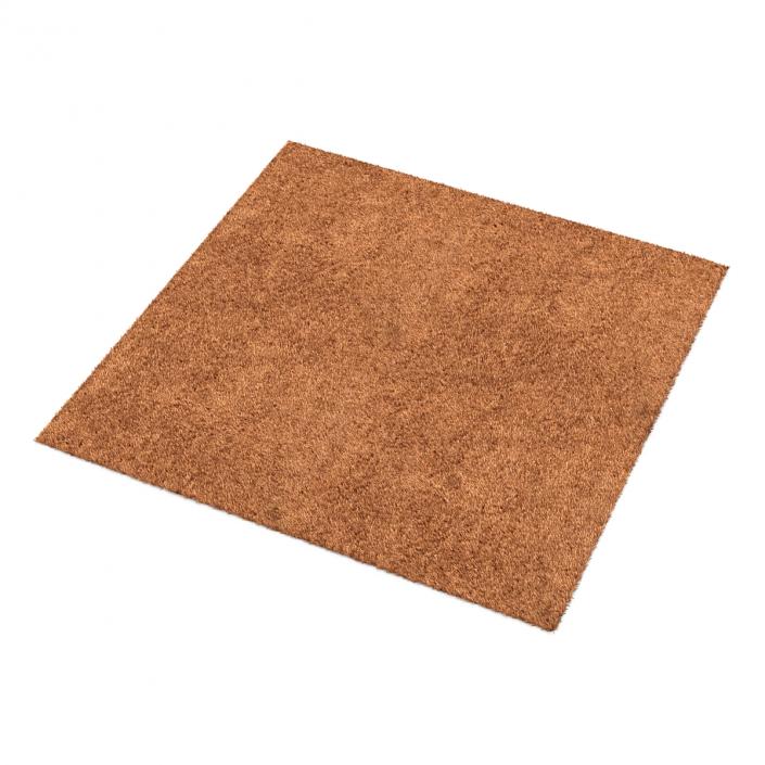 Carpet Beige 3D