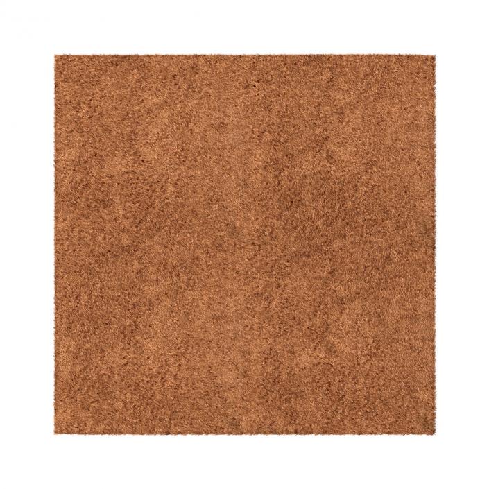 Carpet Beige 3D