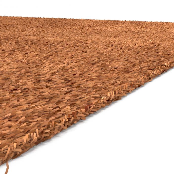 Carpet Beige 3D