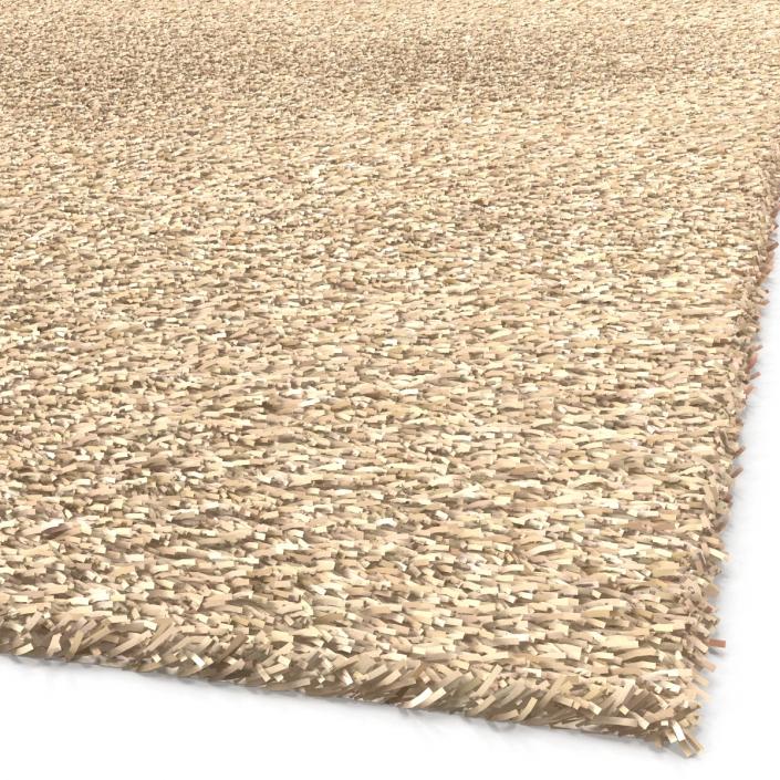 Carpet White 3D