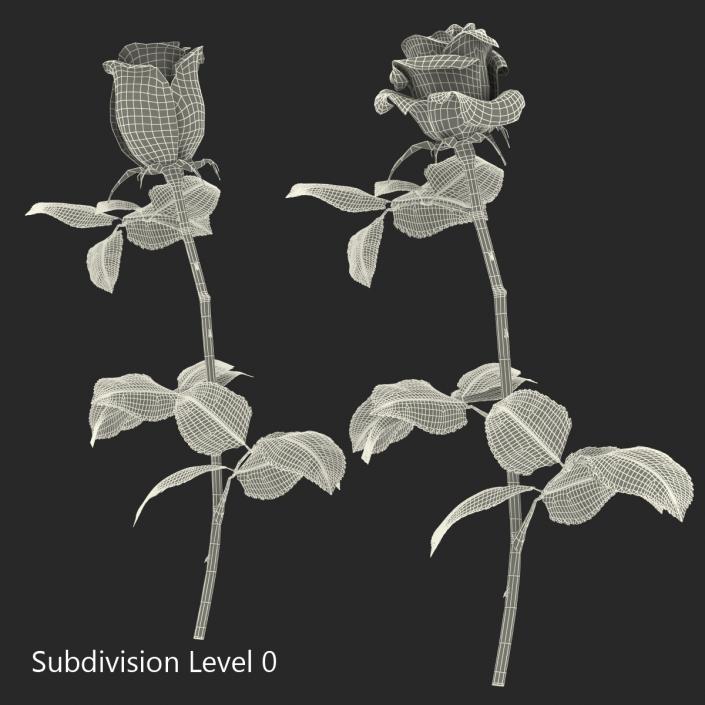 3D Roses Collection