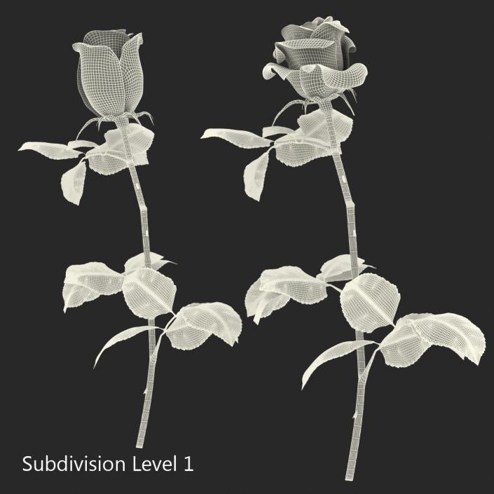 3D Roses Collection