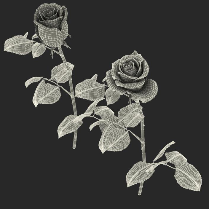 3D Roses Collection