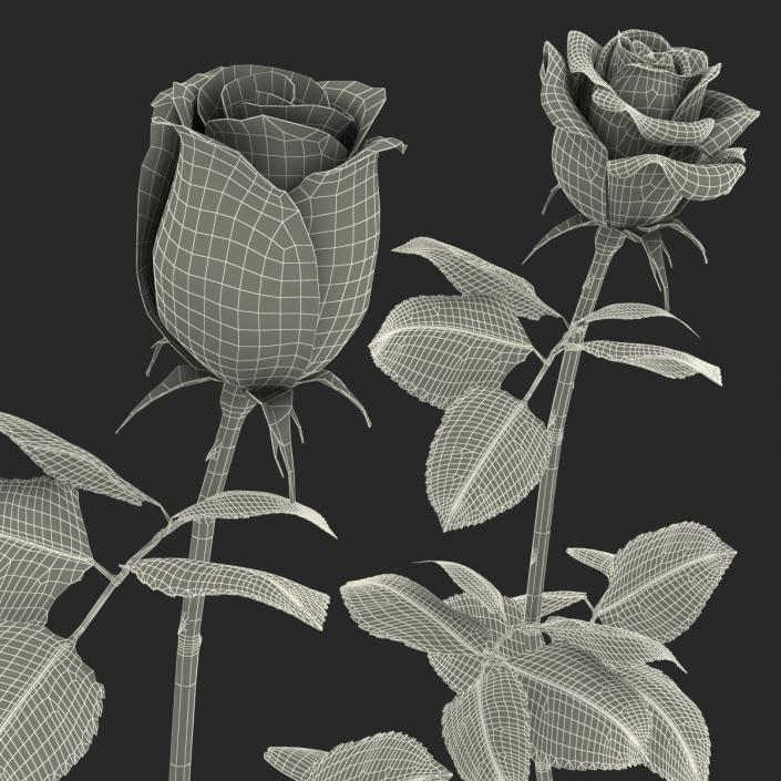 3D Roses Collection