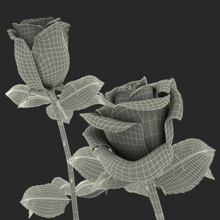 3D Roses Collection