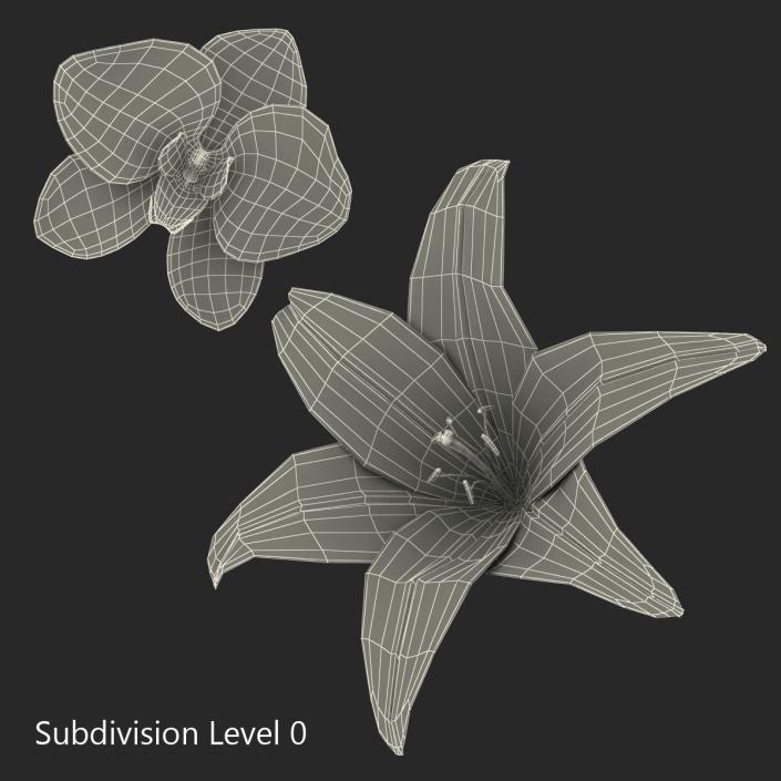 3D Flowers Collection model