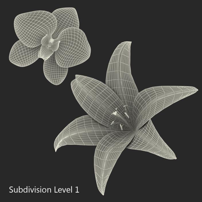 3D Flowers Collection model