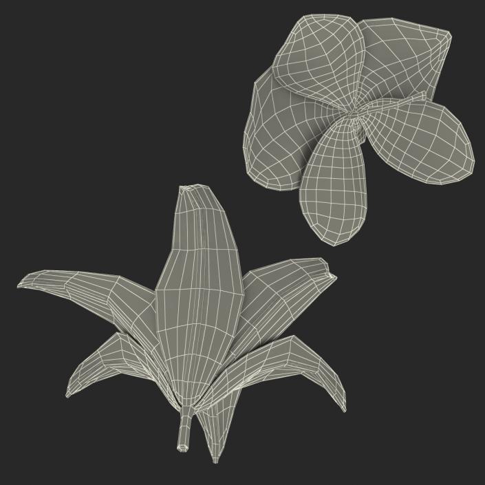 3D Flowers Collection model