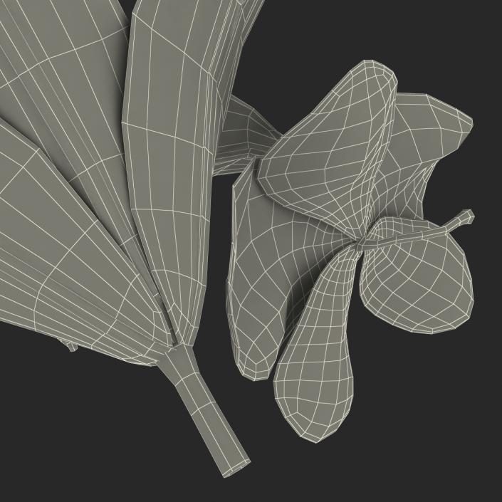 3D Flowers Collection model