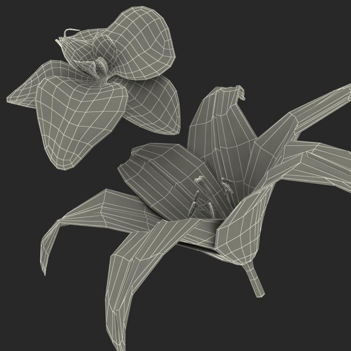 3D Flowers Collection model