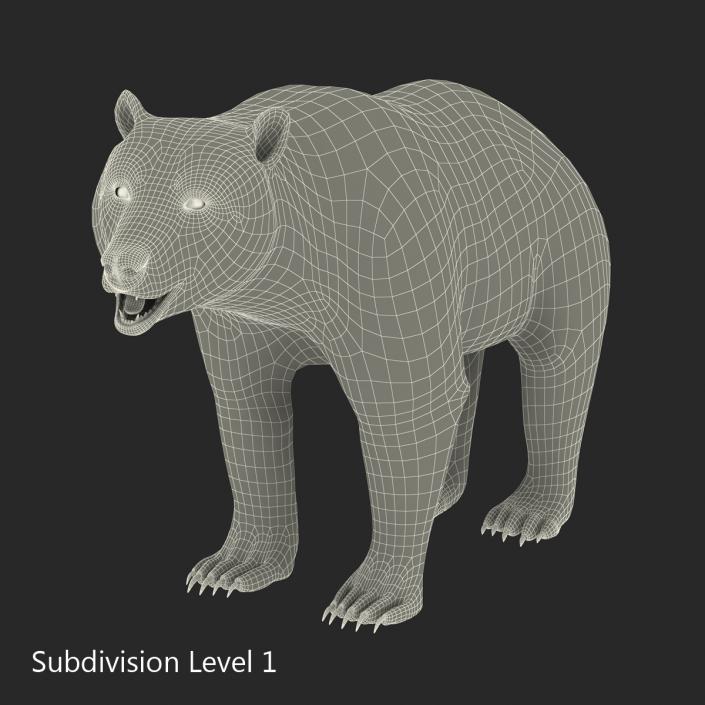 3D Brown Bear with Fur Rigged