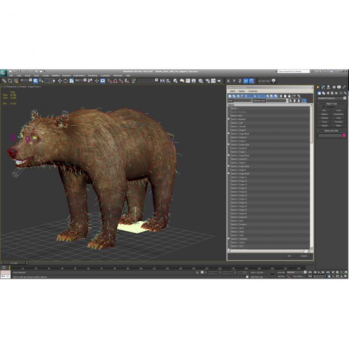 3D Brown Bear with Fur Rigged