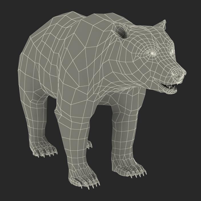 3D Brown Bear with Fur Rigged