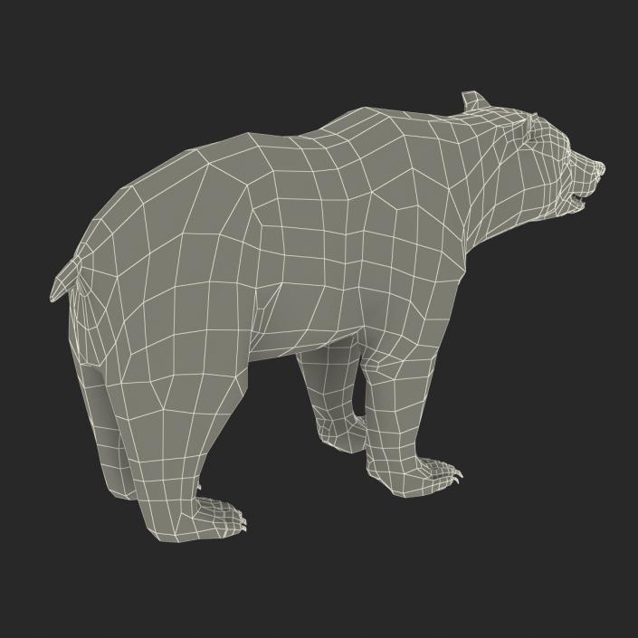 3D Brown Bear with Fur Rigged