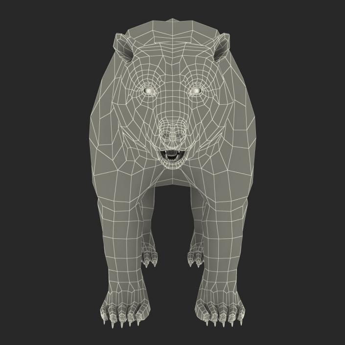 3D Brown Bear with Fur Rigged