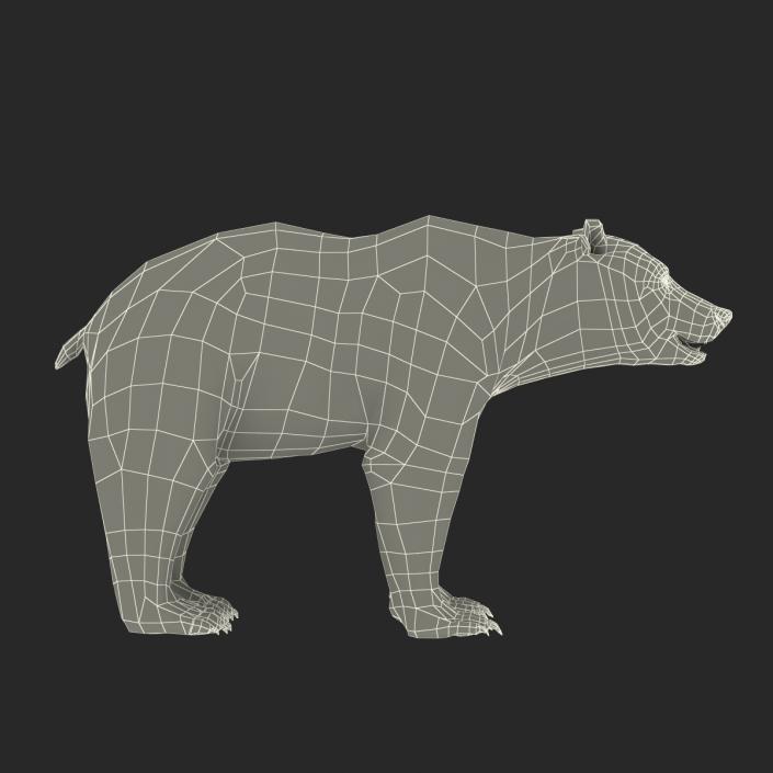 3D Brown Bear with Fur Rigged