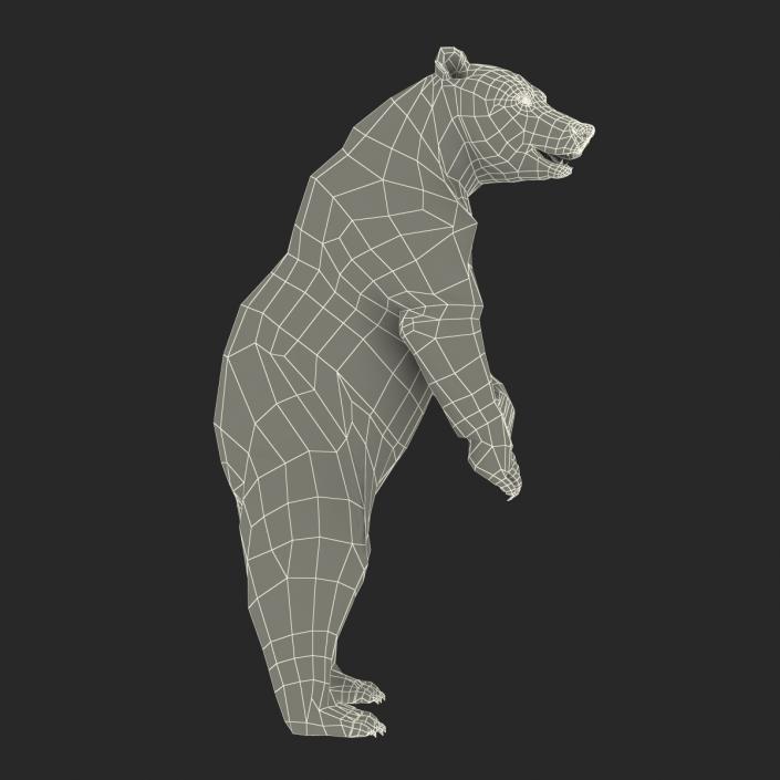 3D Brown Bear with Fur Rigged