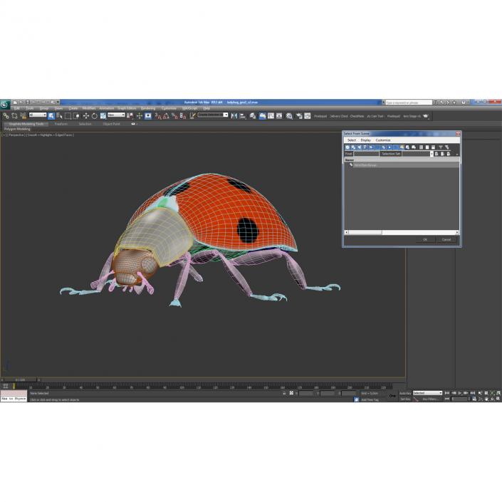 LadyBug 3D model