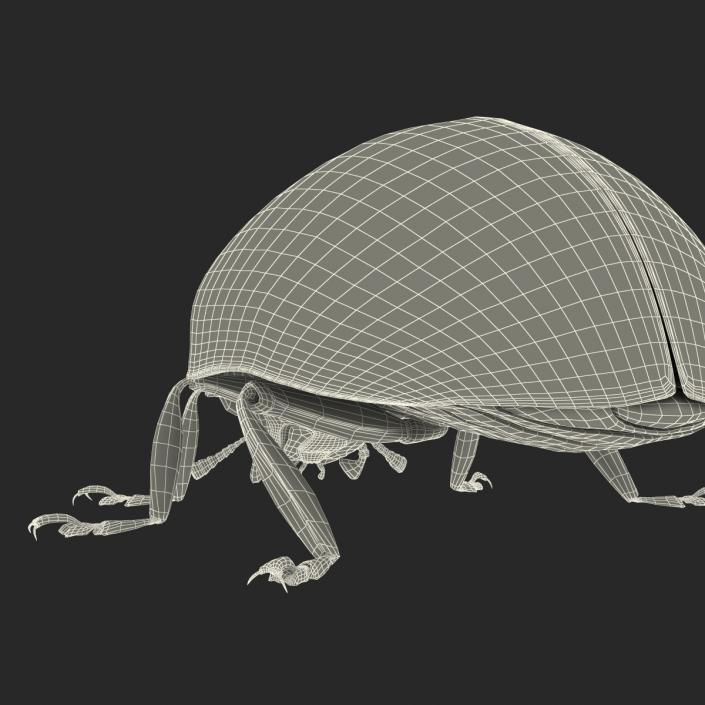 LadyBug 3D model