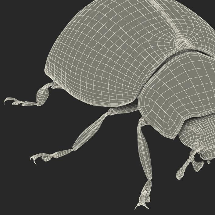 LadyBug 3D model