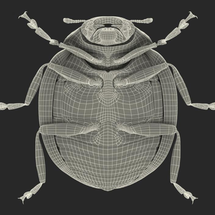 LadyBug 3D model