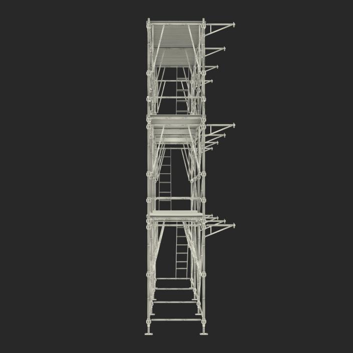 3D Scaffolding 2 model