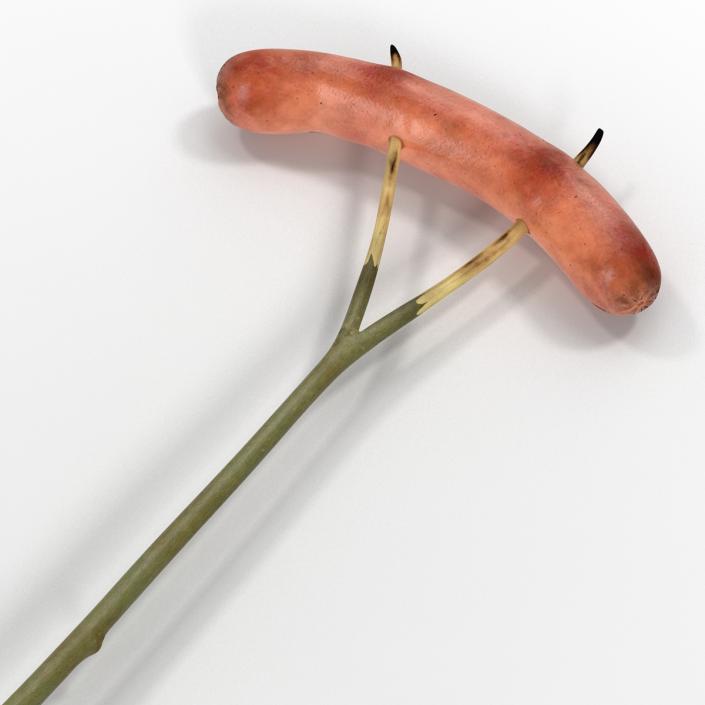 3D Grilled Sausage on a Wooden Stick model