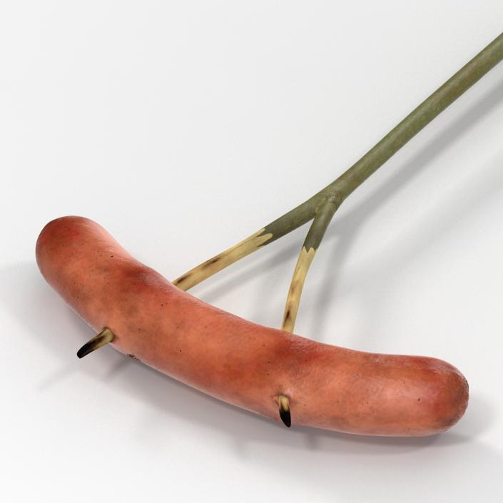 3D Grilled Sausage on a Wooden Stick model