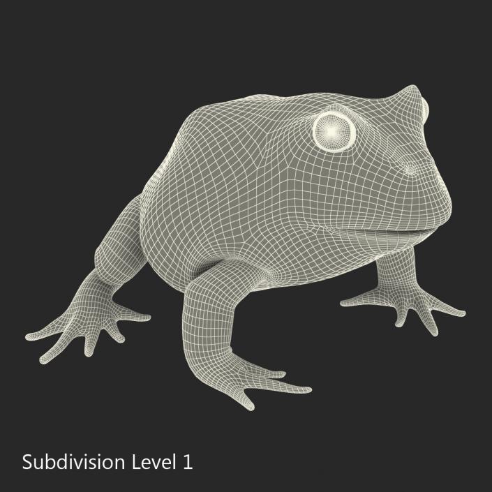 3D Pacman Frog Rigged model