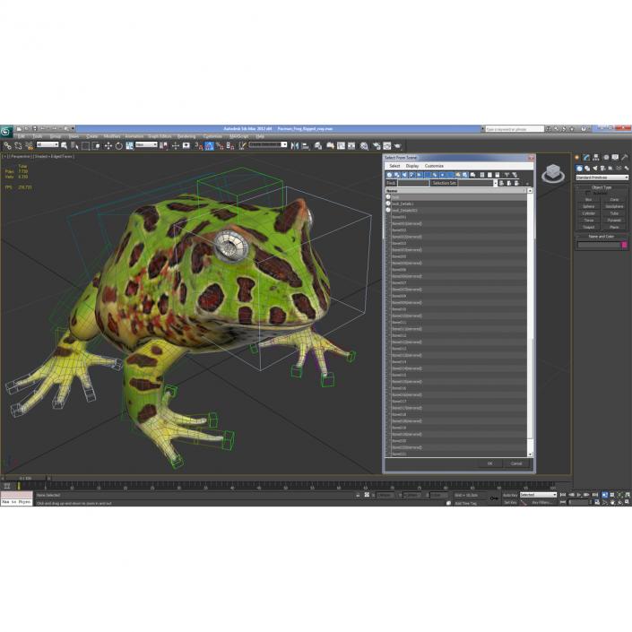 3D Pacman Frog Rigged model