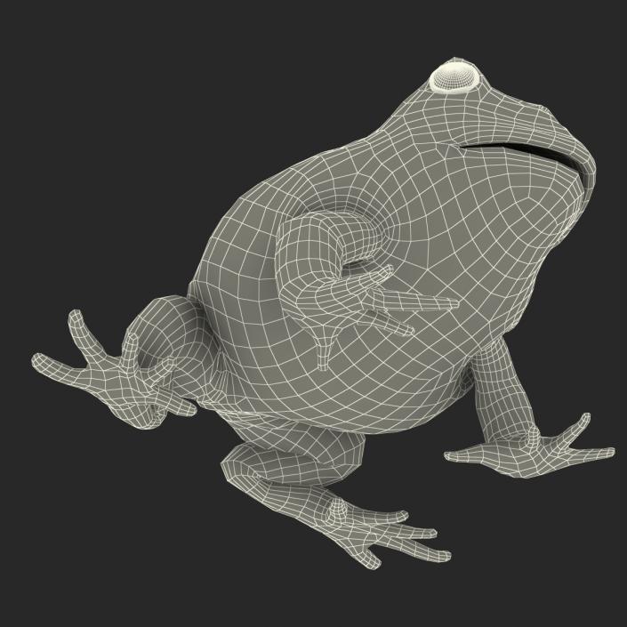 3D Pacman Frog Rigged model