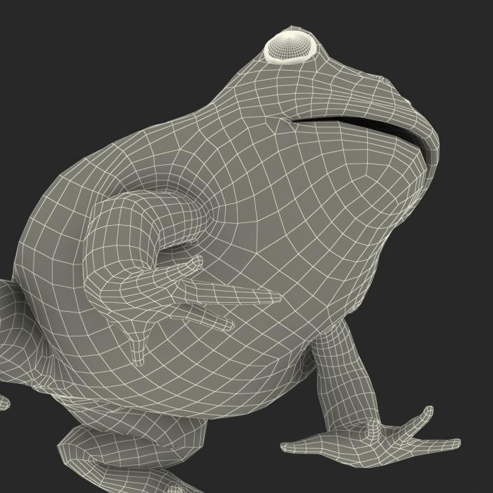 3D Pacman Frog Rigged model