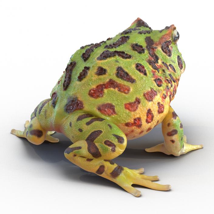 3D Pacman Frog