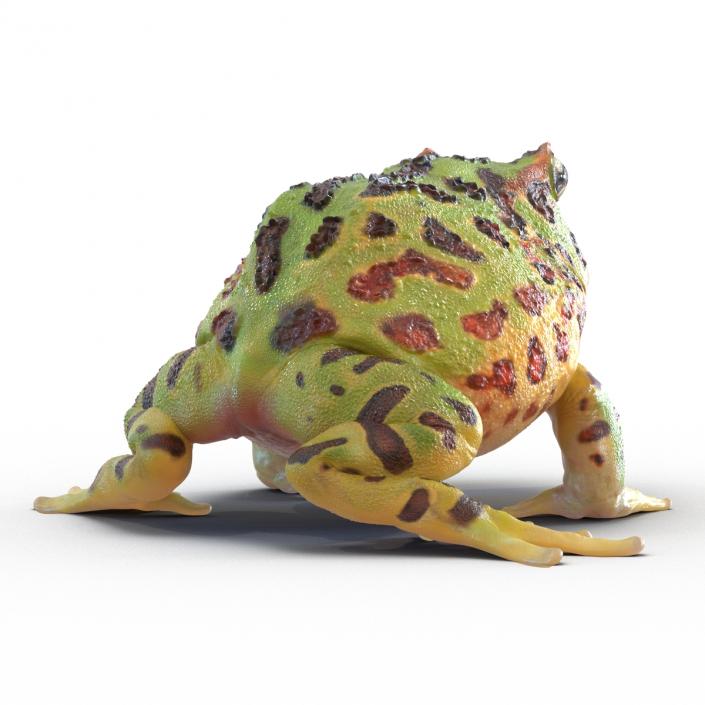 3D Pacman Frog