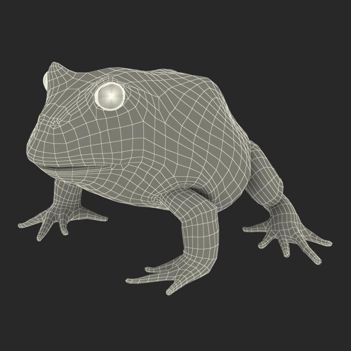 3D Pacman Frog