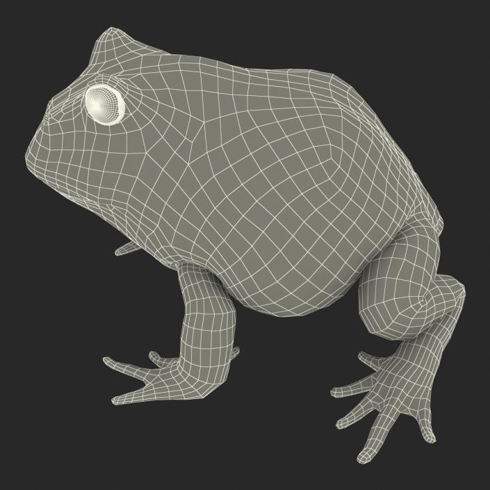 3D Pacman Frog