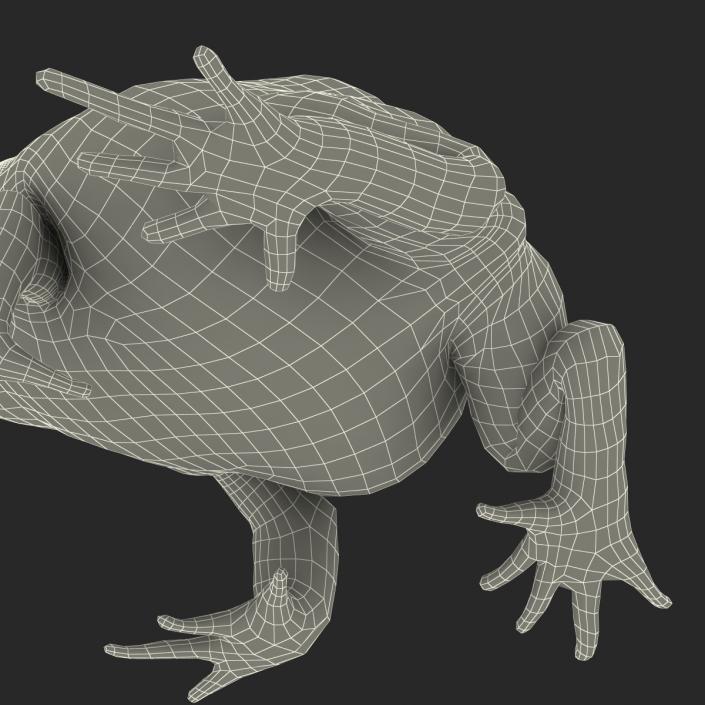 3D Pacman Frog