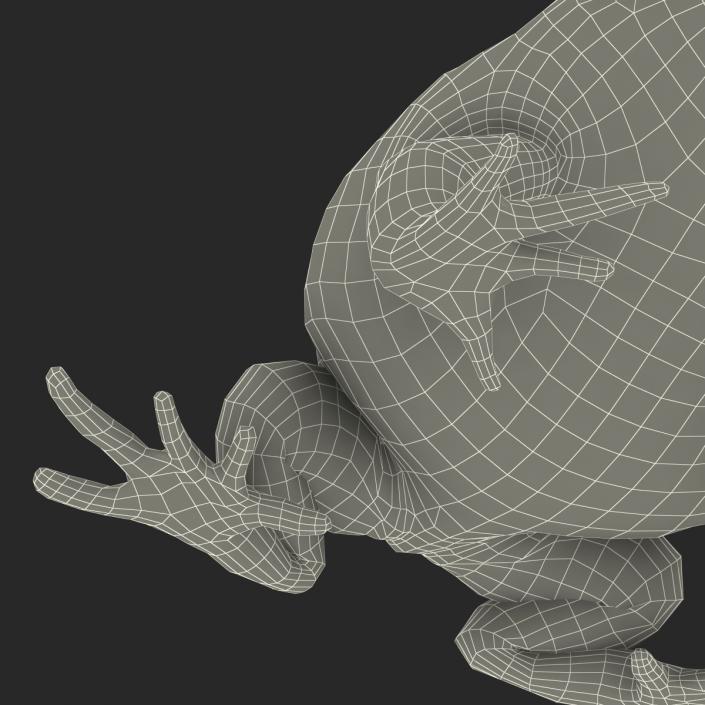 3D Pacman Frog