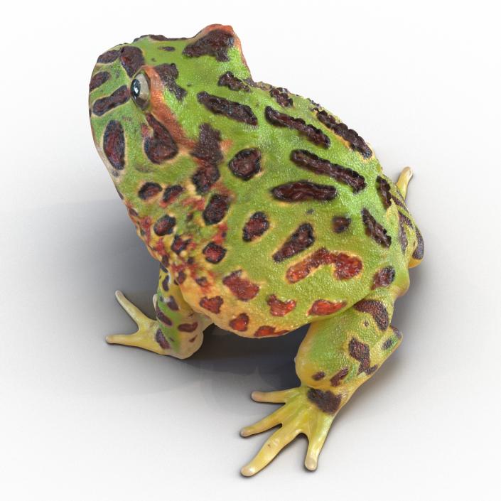 3D Pacman Frog Pose 3 model