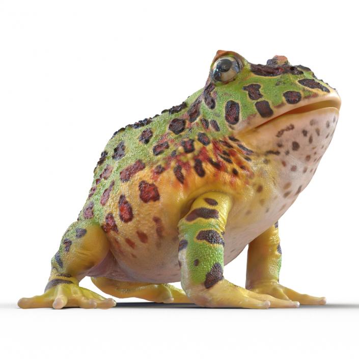 3D Pacman Frog Pose 3 model