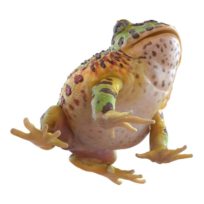 3D Pacman Frog Pose 3 model