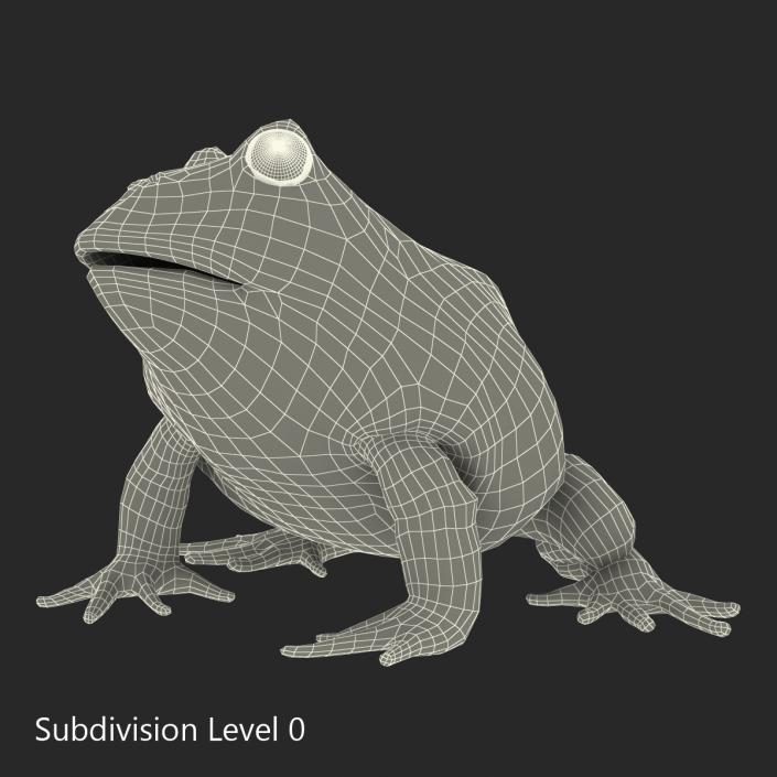 3D Pacman Frog Pose 3 model