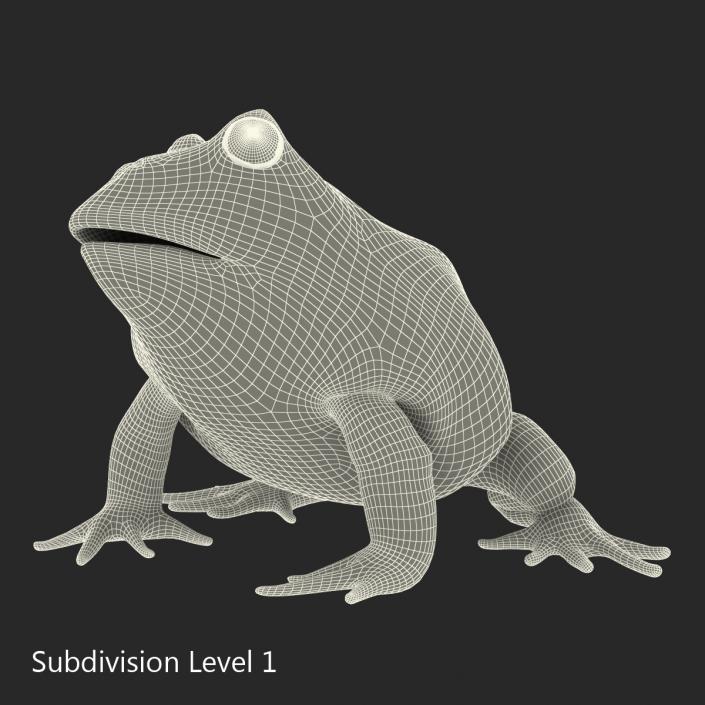 3D Pacman Frog Pose 3 model