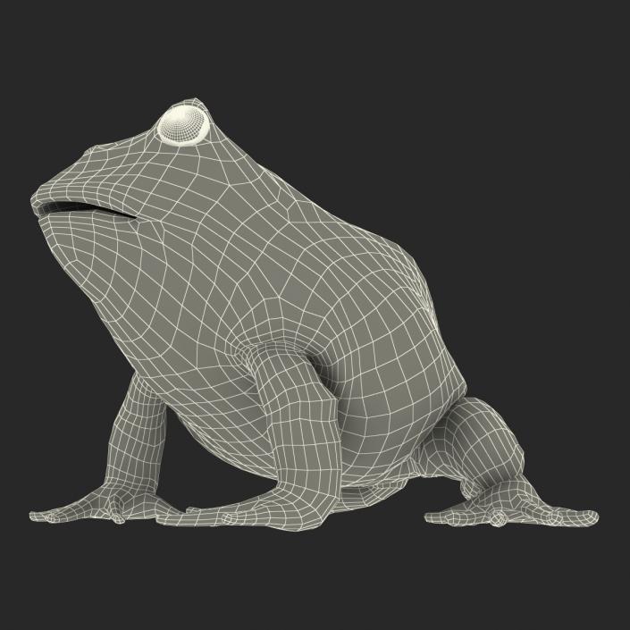 3D Pacman Frog Pose 3 model