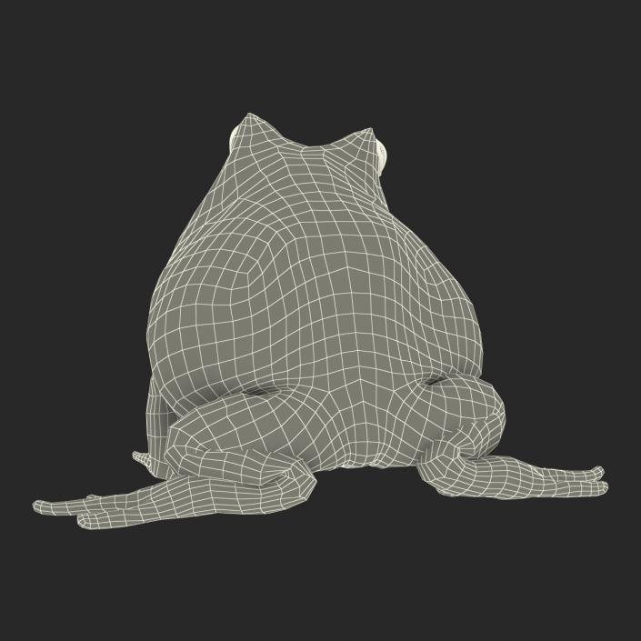 3D Pacman Frog Pose 3 model