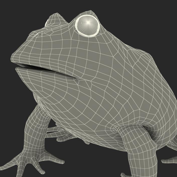 3D Pacman Frog Pose 3 model