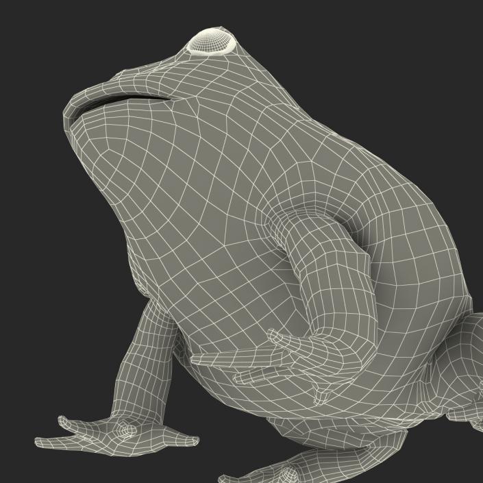 3D Pacman Frog Pose 3 model