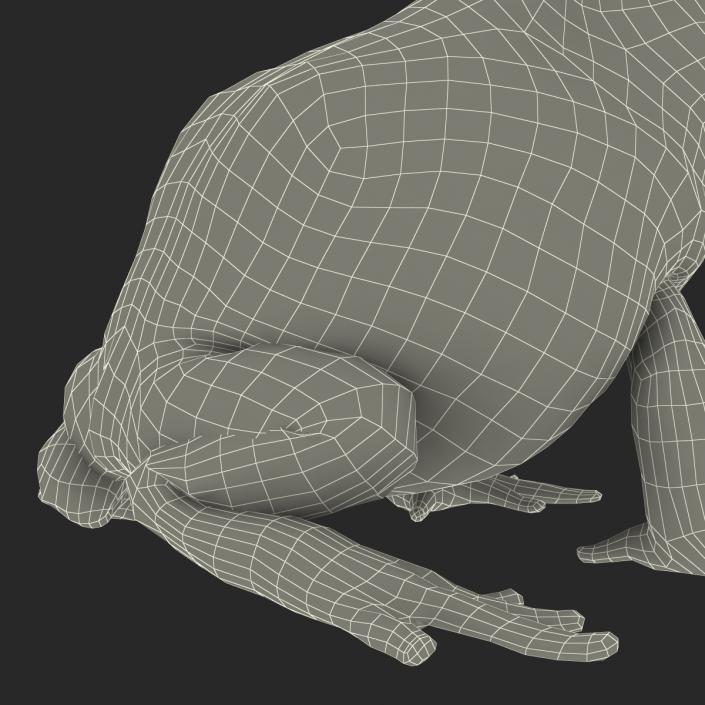 3D Pacman Frog Pose 3 model