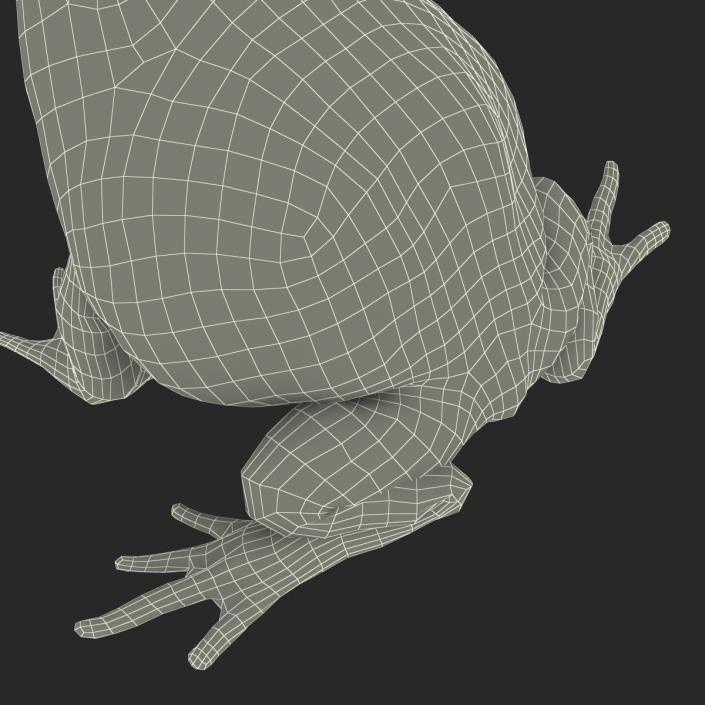 3D Pacman Frog Pose 3 model