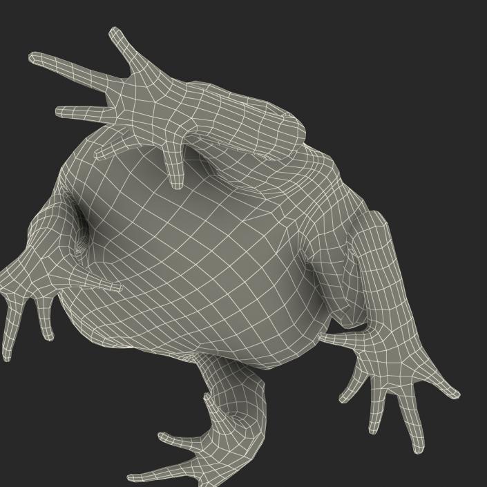 3D Pacman Frog Pose 3 model